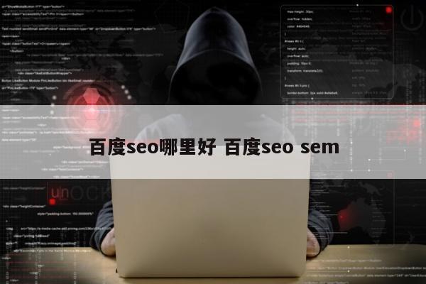 百度seo哪里好 百度seo sem