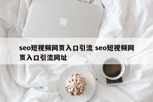 seo短视频网页入口引流 seo短视频网页入口引流网址