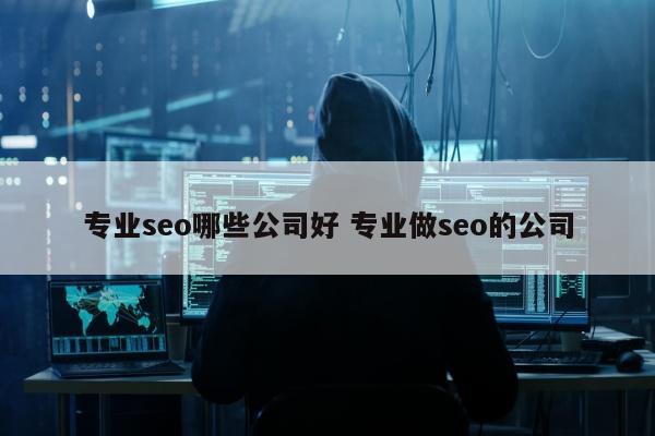 专业seo哪些公司好 专业做seo的公司