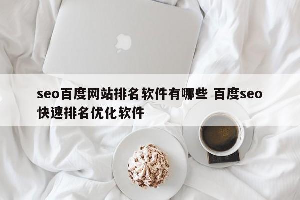 seo百度网站排名软件有哪些 百度seo快速排名优化软件