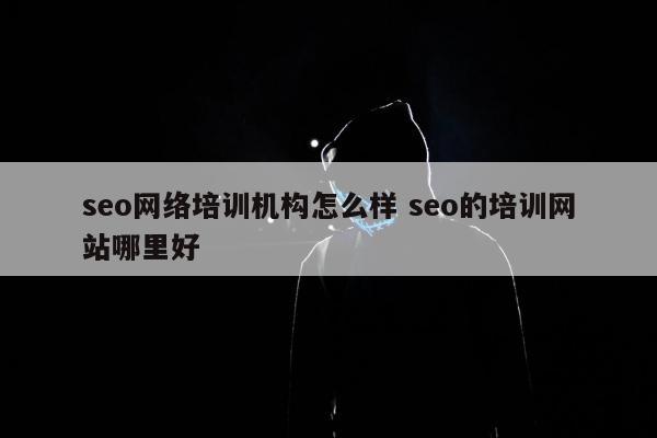 seo网络培训机构怎么样 seo的培训网站哪里好