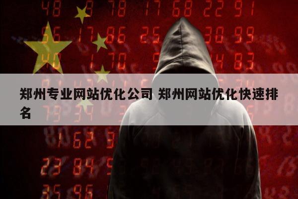 郑州专业网站优化公司 郑州网站优化快速排名