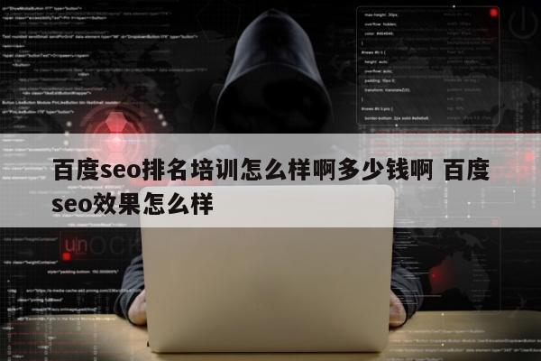 百度seo排名培训怎么样啊多少钱啊 百度seo效果怎么样