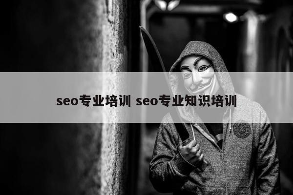 seo专业培训 seo专业知识培训