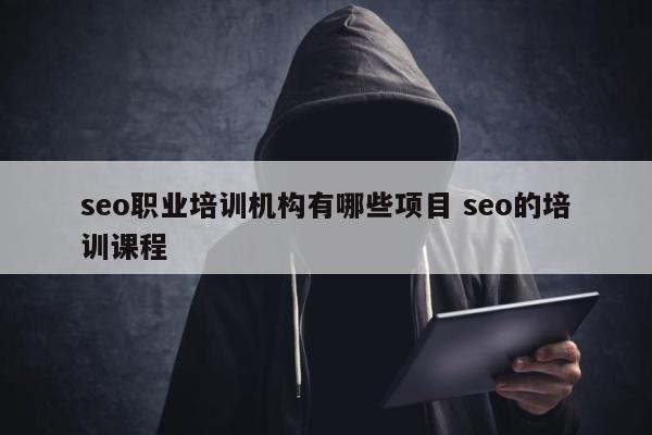 seo职业培训机构有哪些项目 seo的培训课程