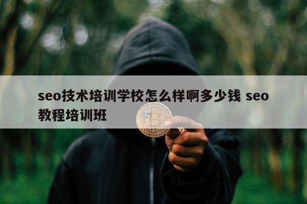 seo技术培训学校怎么样啊多少钱 seo教程培训班