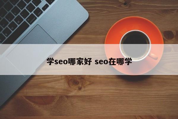 学seo哪家好 seo在哪学