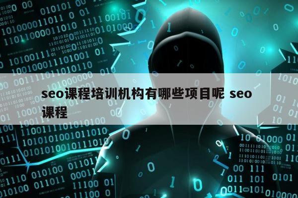 seo课程培训机构有哪些项目呢 seo 课程