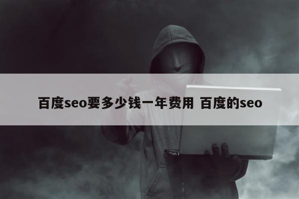 百度seo要多少钱一年费用 百度的seo