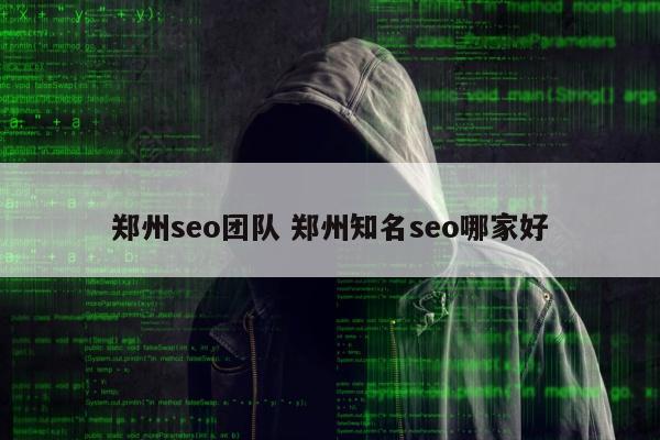 郑州seo团队 郑州知名seo哪家好