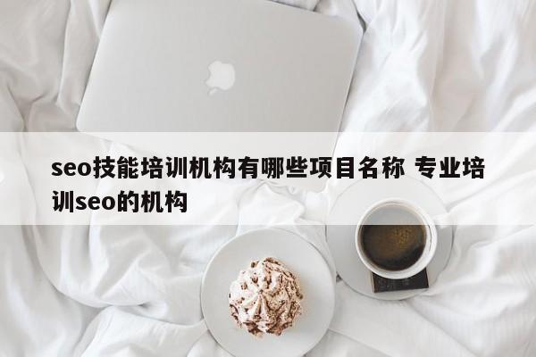 seo技能培训机构有哪些项目名称 专业培训seo的机构