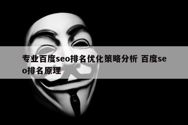 专业百度seo排名优化策略分析 百度seo排名原理