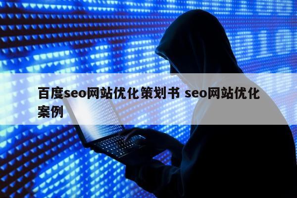 百度seo网站优化策划书 seo网站优化案例