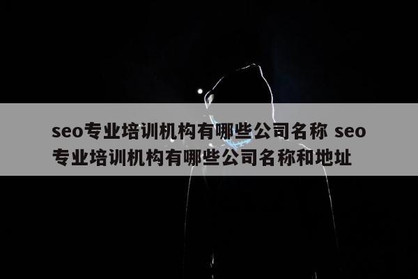 seo专业培训机构有哪些公司名称 seo专业培训机构有哪些公司名称和地址