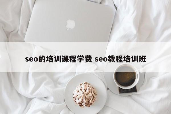 seo的培训课程学费 seo教程培训班