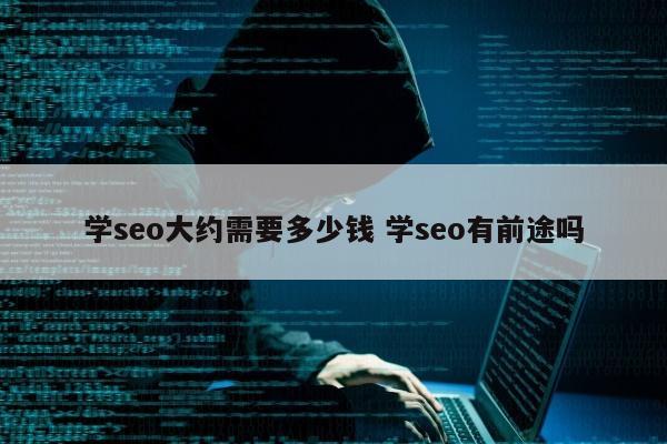 学seo大约需要多少钱 学seo有前途吗