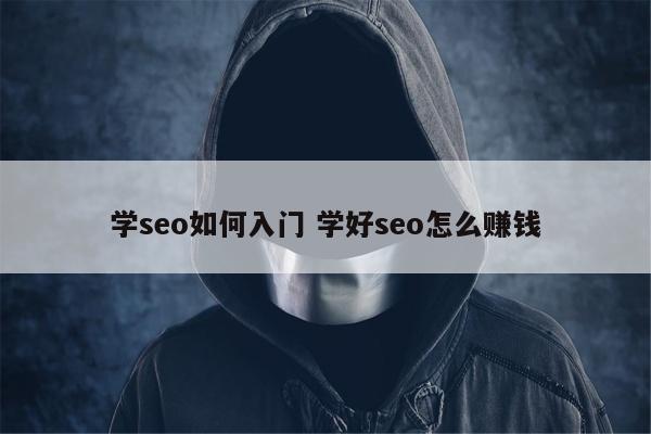 学seo如何入门 学好seo怎么赚钱