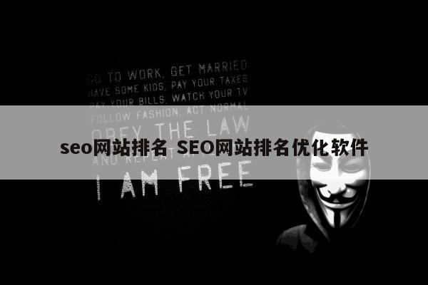 seo网站排名 SEO网站排名优化软件