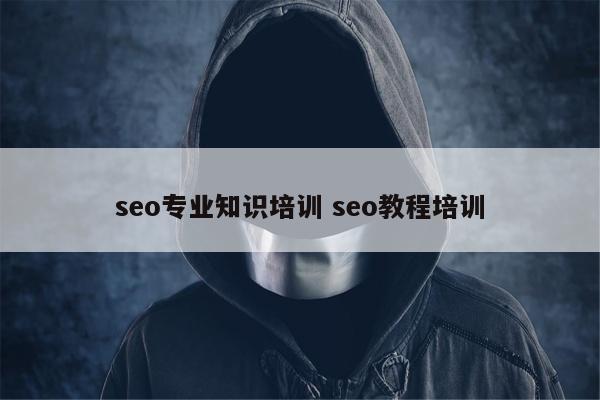 seo专业知识培训 seo教程培训