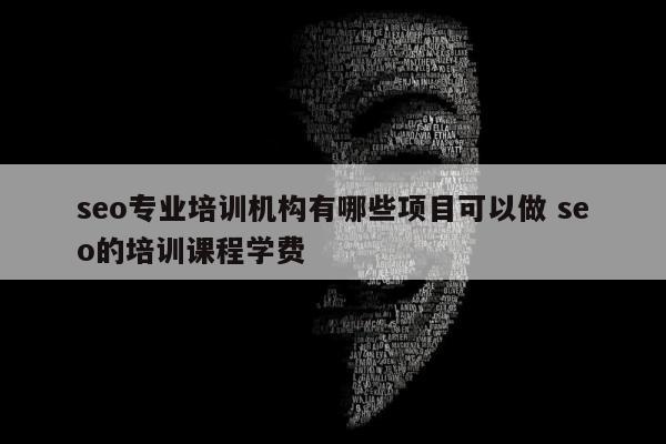 seo专业培训机构有哪些项目可以做 seo的培训课程学费