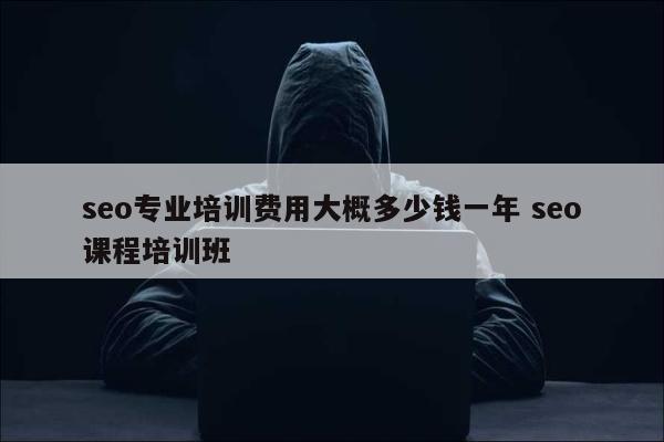 seo专业培训费用大概多少钱一年 seo课程培训班