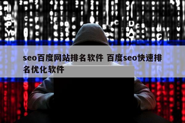 seo百度网站排名软件 百度seo快速排名优化软件