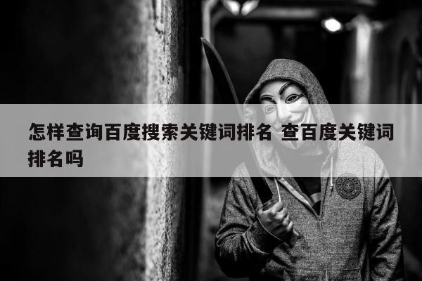 怎样查询百度搜索关键词排名 查百度关键词排名吗