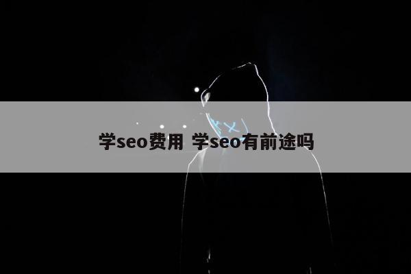 学seo费用 学seo有前途吗