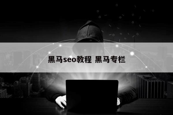 黑马seo教程 黑马专栏