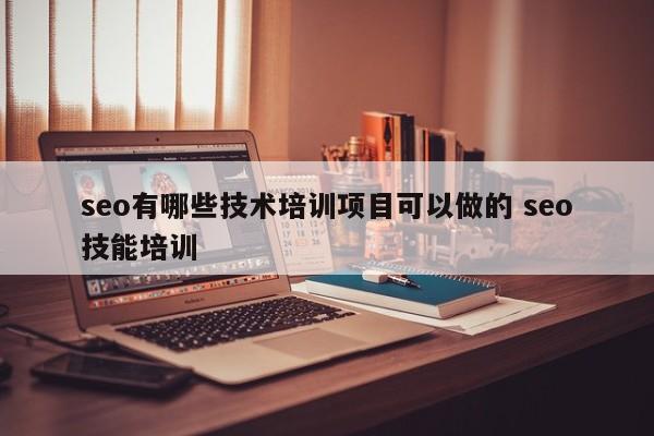 seo有哪些技术培训项目可以做的 seo技能培训