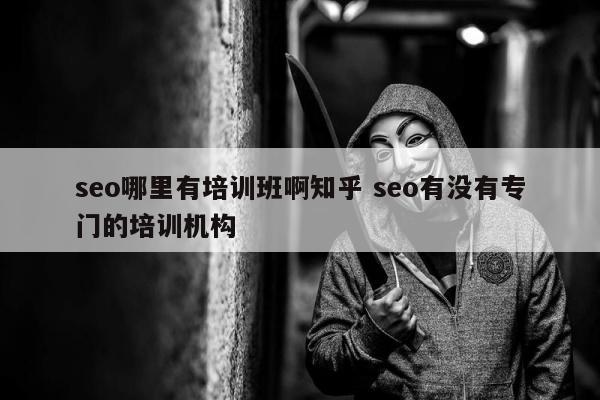 seo哪里有培训班啊知乎 seo有没有专门的培训机构