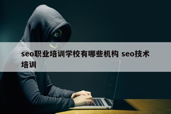 seo职业培训学校有哪些机构 seo技术培训