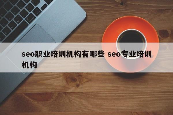 seo职业培训机构有哪些 seo专业培训机构