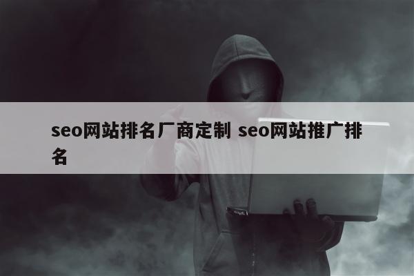 seo网站排名厂商定制 seo网站推广排名