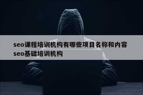 seo课程培训机构有哪些项目名称和内容 seo基础培训机构