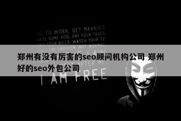 郑州有没有厉害的seo顾问机构公司 郑州好的seo外包公司