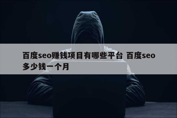 百度seo赚钱项目有哪些平台 百度seo多少钱一个月