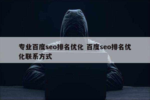 专业百度seo排名优化 百度seo排名优化联系方式