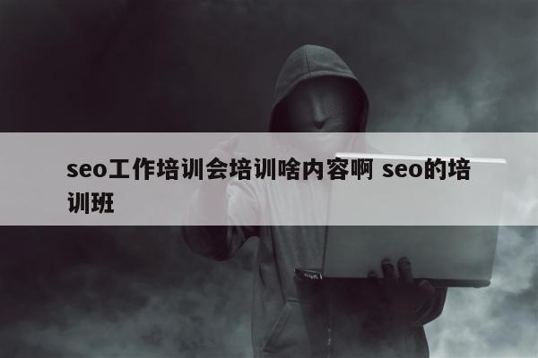 seo工作培训会培训啥内容啊 seo的培训班