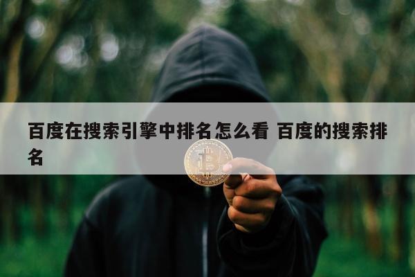 百度在搜索引擎中排名怎么看 百度的搜索排名