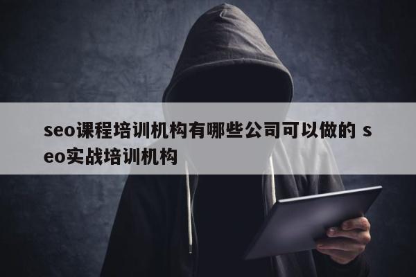 seo课程培训机构有哪些公司可以做的 seo实战培训机构